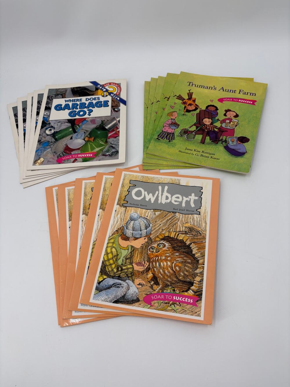Lot of 15 Houghton Mifflin Soar to Success Reading Books (5 Each Title)